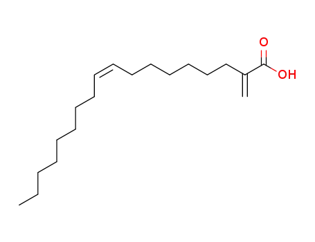 Molecular Structure of 33780-98-2 (2-methylideneoctadec-9-enoic acid)