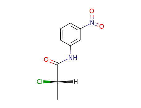 2-CHLORO-N-(3-NITRO-PHENYL)-PROPIONAMIDE