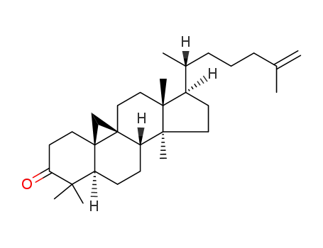 Molecular Structure of 157523-40-5 (cycloart-25-en-3-one)
