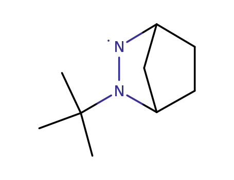 Molecular Structure of 40953-67-1 (2,3-Diazabicyclo[2.2.1]hept-2-yl,  3-(1,1-dimethylethyl)-  (9CI))