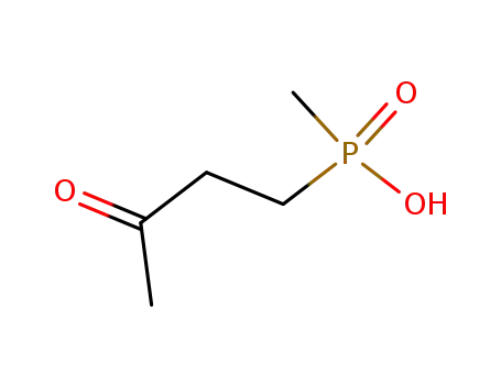 Molecular Structure of 49849-26-5 (methyl(3-oxobutyl)phosphinic acid)