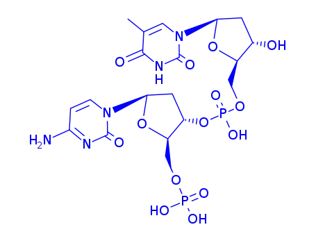 폴리 d(CT)