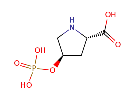 Molecular Structure of 41863-46-1 (4-phosphorylproline)