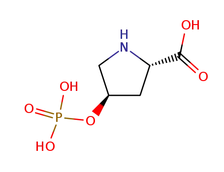 4-phosphorylproline
