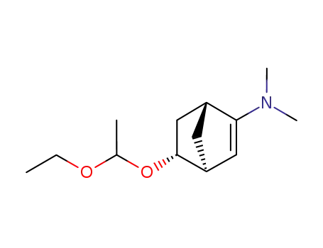 5-(1-エトキシエトキシ)-N,N-ジメチルビシクロ[2.2.1]ヘプタ-2-エン-2-アミン