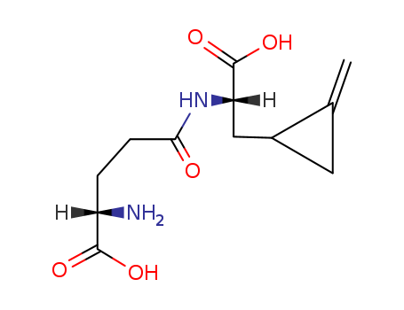 Cyclopropanepropanoic acid, a-[[(4S)-4-amino-4-carboxy-1-oxobutyl]amino]-2-methylene-,(aS,1R)-