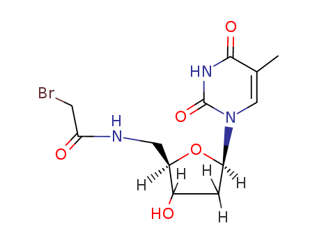 Thymidine,5'-[(bromoacetyl)amino]-5'-deoxy- (9CI) cas  50700-63-5