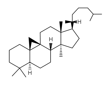 Molecular Structure of 511-64-8 (CYCLOARTANE)
