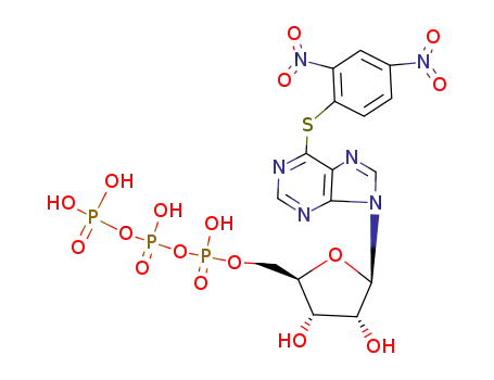 (S-dinitrophenyl)-6-mercaptopurine riboside triphosphate