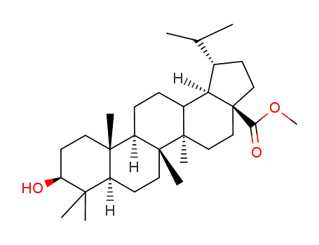 Methyldihydrobetulinate