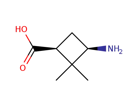 시클로부탄카르복실산, 3-아미노-2,2-디메틸-, 시스-(9CI)