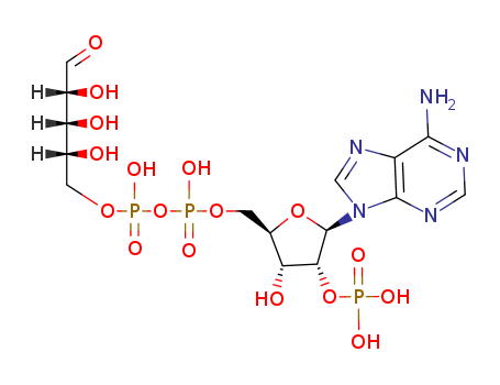 Adenosine-5'-O-diphosphoribose phosphate