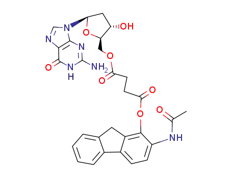 Succinic acid 2-acetylamino-9H-fluoren-1-yl ester (2R,3S,5R)-5-(2-amino-6-oxo-1,6-dihydro-purin-9-yl)-3-hydroxy-tetrahydro-furan-2-ylmethyl ester