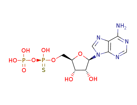 Adenosine, 5'&reg;P'-ester with[P'(R)]-thiodiphosphoric acid ((HO)2P(O)OP(S)(OH)2) (9CI)                                                                                                                
