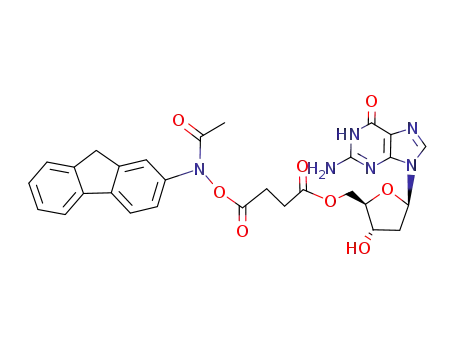 4-[Acetyl-(9H-fluoren-2-yl)-aminooxy]-4-oxo-butyric acid (2R,3S,5R)-5-(2-amino-6-oxo-1,6-dihydro-purin-9-yl)-3-hydroxy-tetrahydro-furan-2-ylmethyl ester