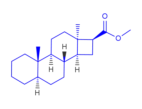 methyl 17-nor-5α,13α-androstane-16β-carboxylate