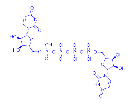 [[(2R,3R,4R,5R)-5-(2,4-dioxopyrimidin-1-yl)-3,4-dihydroxy-oxolan-2-yl]methoxy-hydroxy-phosphoryl]oxy-[[[(2R,3R,4R,5R)-5-(2,4-dioxopyrimidin-1-yl)-3,4-dihydroxy-oxolan-2-yl]methoxy-hydroxy-phosphoryl]o