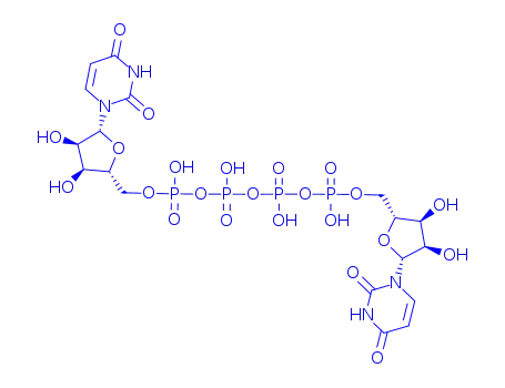Molecular Structure of 59985-21-6 ([[(2R,3R,4R,5R)-5-(2,4-dioxopyrimidin-1-yl)-3,4-dihydroxy-oxolan-2-yl]methoxy-hydroxy-phosphoryl]oxy-[[[(2R,3R,4R,5R)-5-(2,4-dioxopyrimidin-1-yl)-3,4-dihydroxy-oxolan-2-yl]methoxy-hydroxy-phosphoryl]oxy-hydroxy-phosphoryl]oxy-phosphinic acid)
