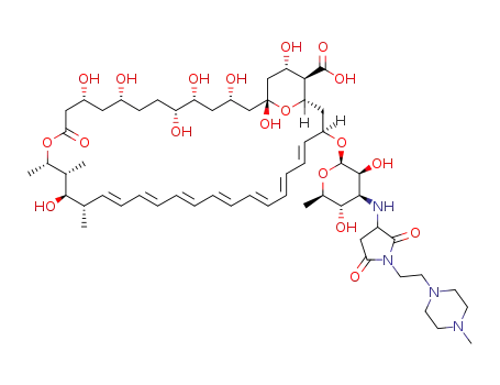 N-{N-[2-(4-methylpiperazin-1-yl)ethyl]succinimidyl}-amphotericin B