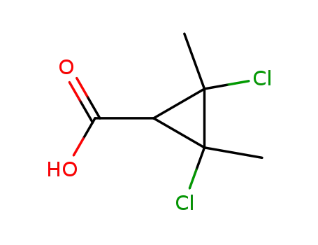 2,3-디클로로-2,3-디메틸시클로프로판카르복실산