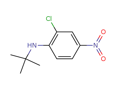 Molecular Structure of 6085-52-5 (N-tert-butyl-2-chloro-4-nitroaniline)