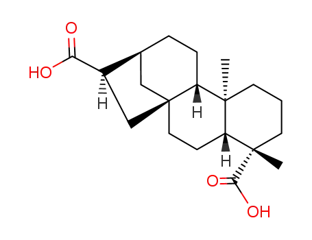 (+/-)-16β-Kauran-17.19-disaeure