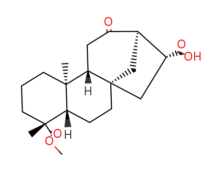 17-Carboxy-12-oxo-16α-(-)-kauran-19-saeure-methylester