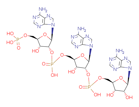 2',5'-oligoadenylate