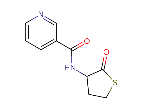 Molecular Structure of 55316-22-8 (homocysteine-thiolactone-nicotinamide)