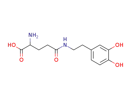 Molecular Structure of 56104-03-1 (gamma-glutamyl dopamine)