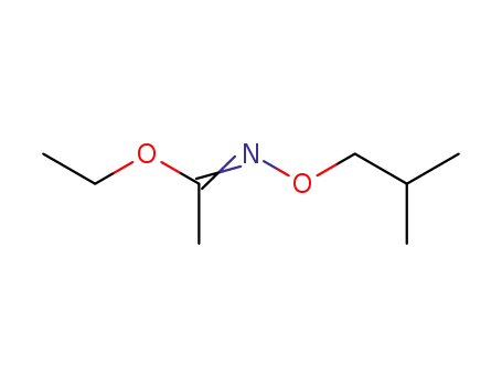 Molecular Structure of 18498-63-0 (<i>N</i>-isobutoxy-acetimidic acid ethyl ester)