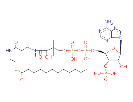 Lauroyl Coenzyme A, Free acid(6244-92-4)