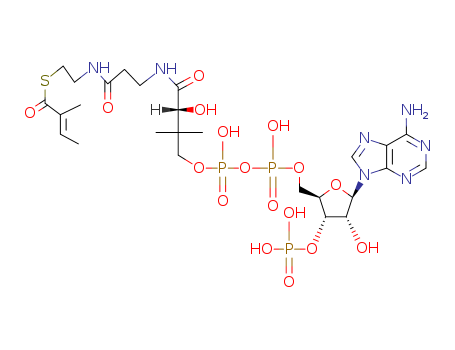 S-[2-[3-[[4-[[[5-(6-aminopurin-9-yl)-4-hydroxy-3-phosphonooxyoxolan-2-yl]methoxy-hydroxyphosphoryl]oxy-hydroxyphosphoryl]oxy-2-hydroxy-3,3-dimethylbutanoyl]amino]propanoylamino]ethyl] 2-methylbut-2-en
