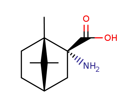 Molecular Structure of 6266-05-3 (2-AMINO-2-BORNANECARBOXYLIC ACID)