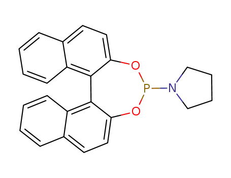 Molecular Structure of 736142-26-0 (1-(11bR)-dinaphtho[2,1-d:1',2'-f][1,3,2]dioxaphosphepin-4-yl- Pyrrolidine)