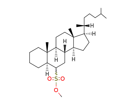5α-cholestane-sulfonic acid-(6ξ)-methyl ester