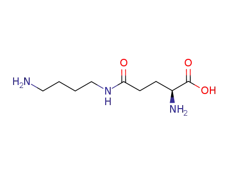 Molecular Structure of 58316-51-1 (glutamylputrescine)