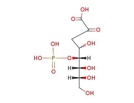 2-케토-3-데옥시옥토네이트-5-포스페이트