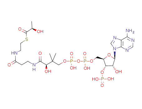 (R)-lactyl-CoA