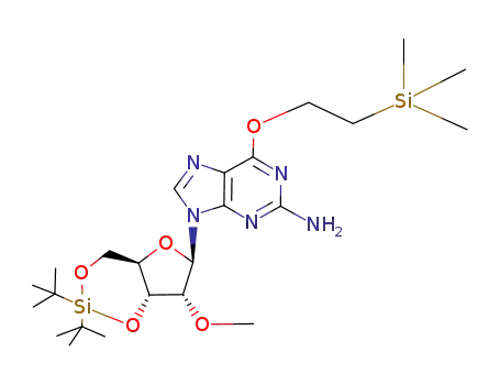 O<sup>6</sup>-[(2-trimethylsilyl)-ethyl]-2'-O-methyl-3',5'-O-di-tert-butylsilanediyl guanosine