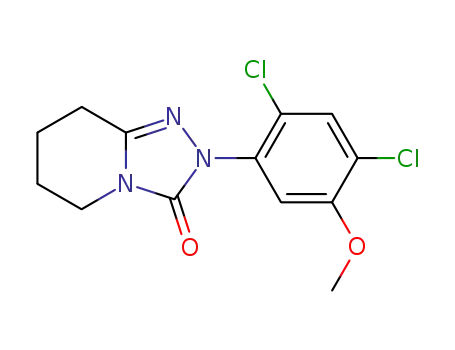2-(2,4-ジクロロ-5-メトキシフェニル)-2H,3H,5H,6H,7H,8H-[1,2,4]トリアゾロ[4,3-a]ピリジン-3-オン