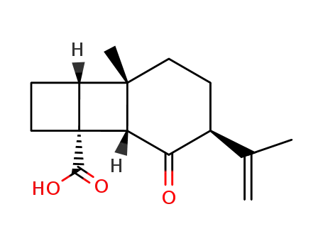 (1S,2R,5R,6S,9S)-9-Isopropenyl-6-methyl-10-oxo-tricyclo[4.4.0.0<sup>2,5</sup>]decane-2-carboxylic acid