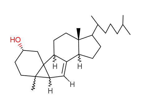 Molecular Structure of 63902-44-3 (10-Cyclo-19-norcholest-7-en-2-ol, 5-methyl-,(2.alpha., 5.beta., 6.beta., 10.alpha.)-6)