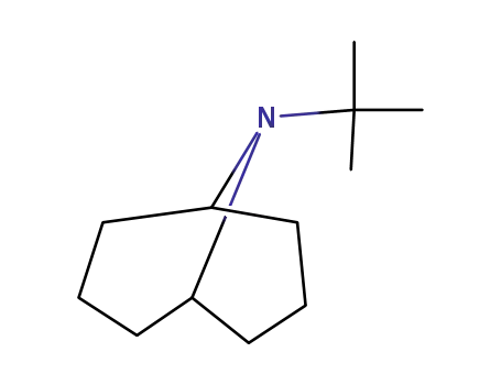 Molecular Structure of 64776-36-9 (9-tert-butyl-9-azabicyclo[3.3.1]nonane)