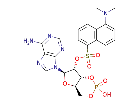 Molecular Structure of 64691-10-7 (2'-dansyl-cyclic AMP)