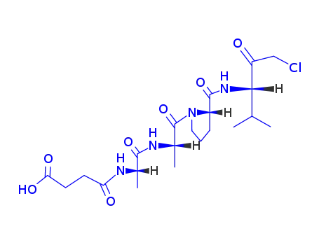 Molecular Structure of 65144-33-4 (succinyl-alanyl-alanyl-prolyl-valine chloromethyl ketone)