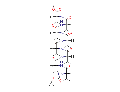 Molecular Structure of 65519-02-0 (tert-butyloxycarbonylvalyl-valyl-valyl-valyl-valyl-valyl-valyl-valine methyl ester)