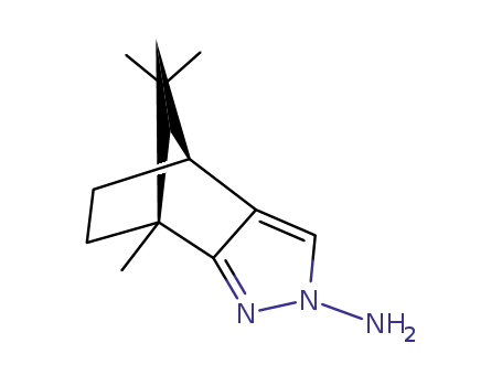 Molecular Structure of 65490-65-5 (2-amino-7,8,8-trimethyl-4,5,6,7-tetrahydro-4,7-methano-2H-indazole)