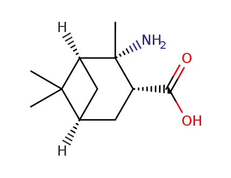 비시클로[3.1.1]헵탄-3-카르복실산, 2-아미노-2,6,6-트리메틸-,