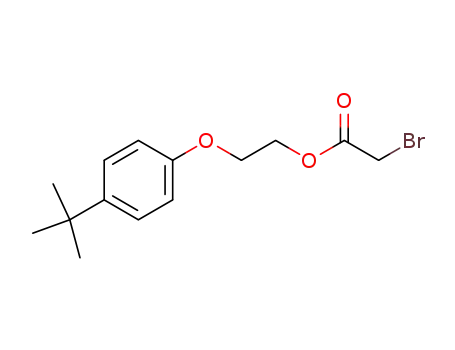 Molecular Structure of 6289-76-5 (2-(4-tert-butylphenoxy)ethyl bromoacetate)